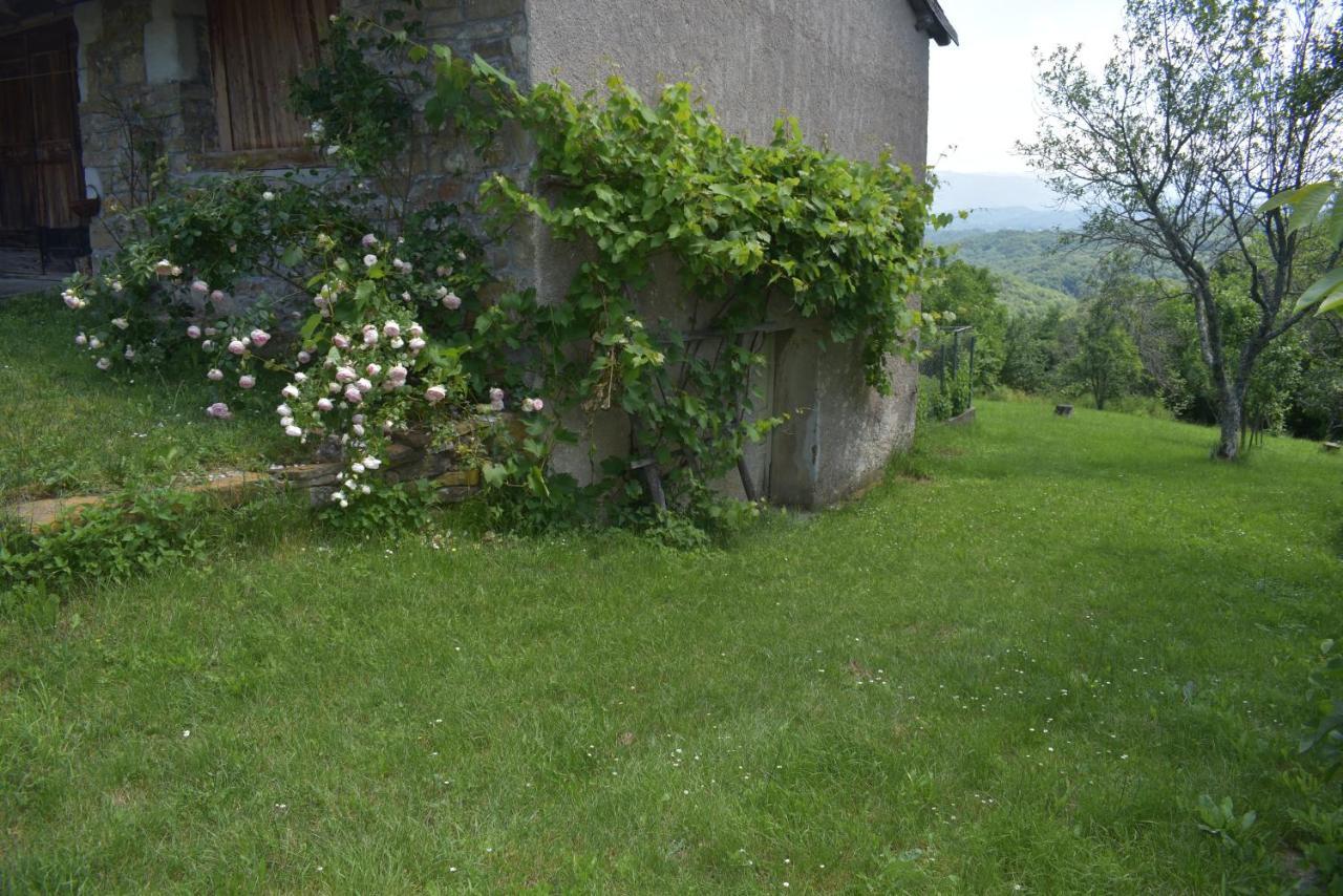 Barbara'S Village House Ilirska Bistrica Exteriér fotografie